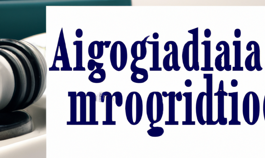 Los 10 Mejores Abogados de Inmigración y Nacionalidad en 2023